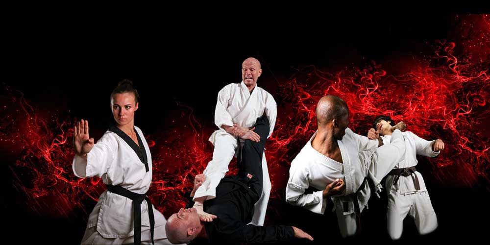 Zen-Do-Kai - Billy Manne Martial Arts